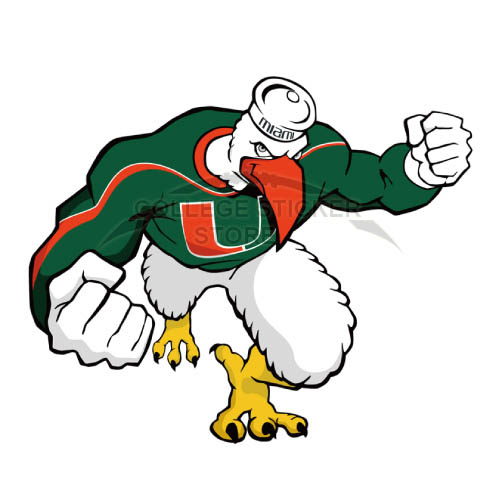 Personal Miami Hurricanes Iron-on Transfers (Wall Stickers)NO.5044
